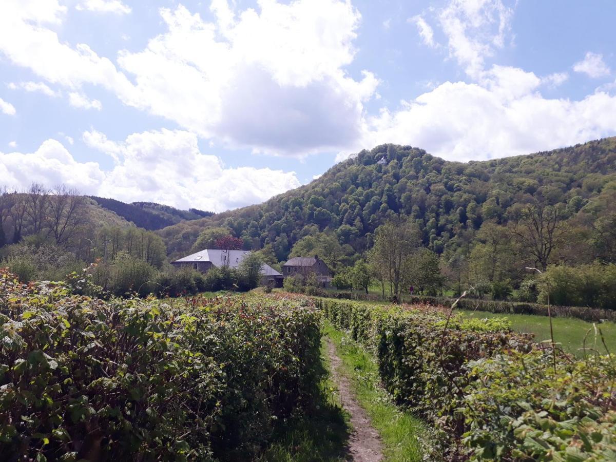 Bed & Breakfast Vallee De L'Ourthe Маркур Экстерьер фото